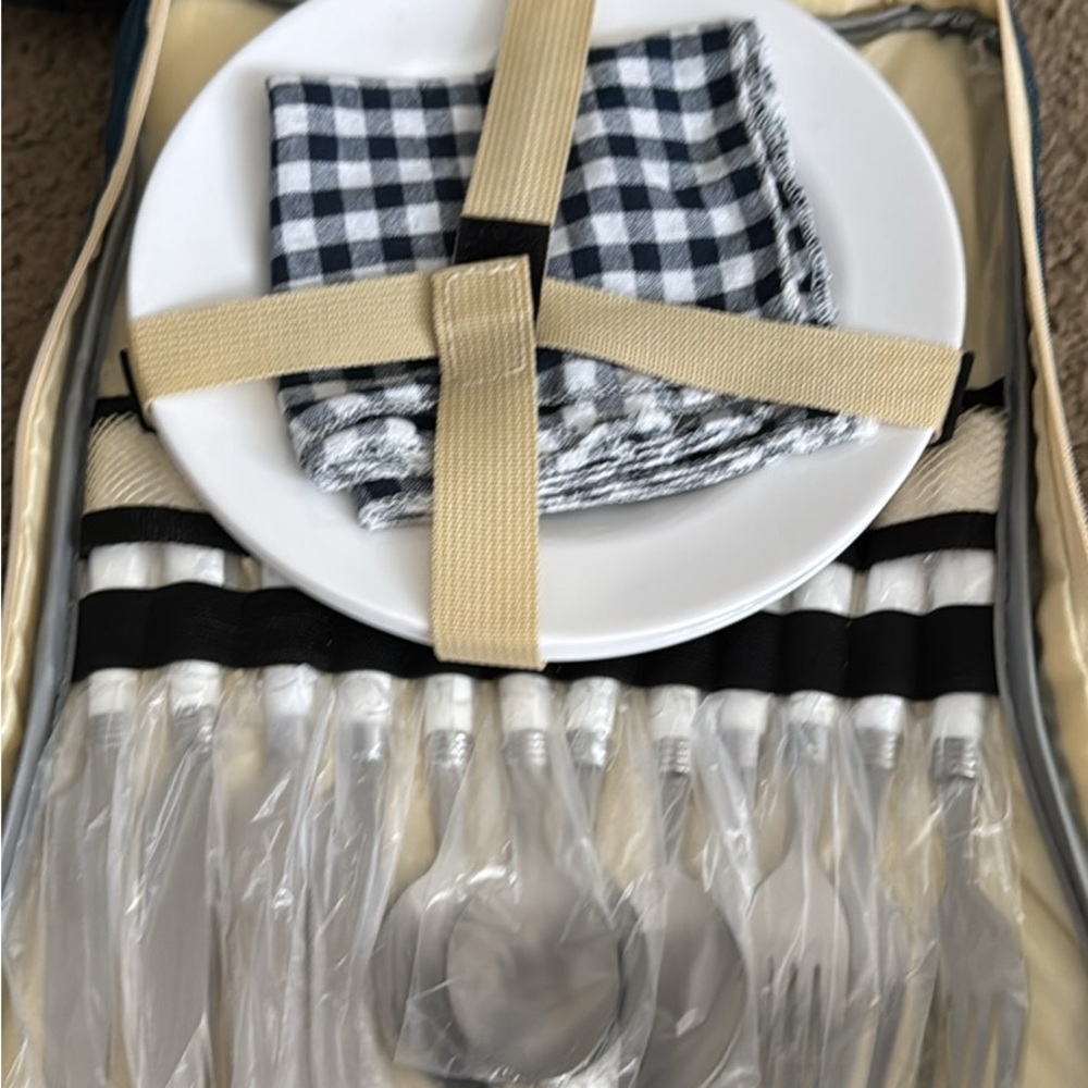 Checkered Picnic Set with White Plates